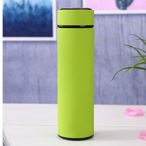 Thermal Flask Green